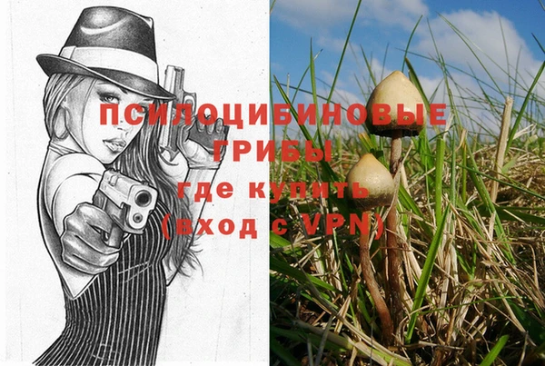 скорость Лагань
