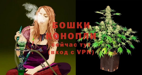 спайс Липки