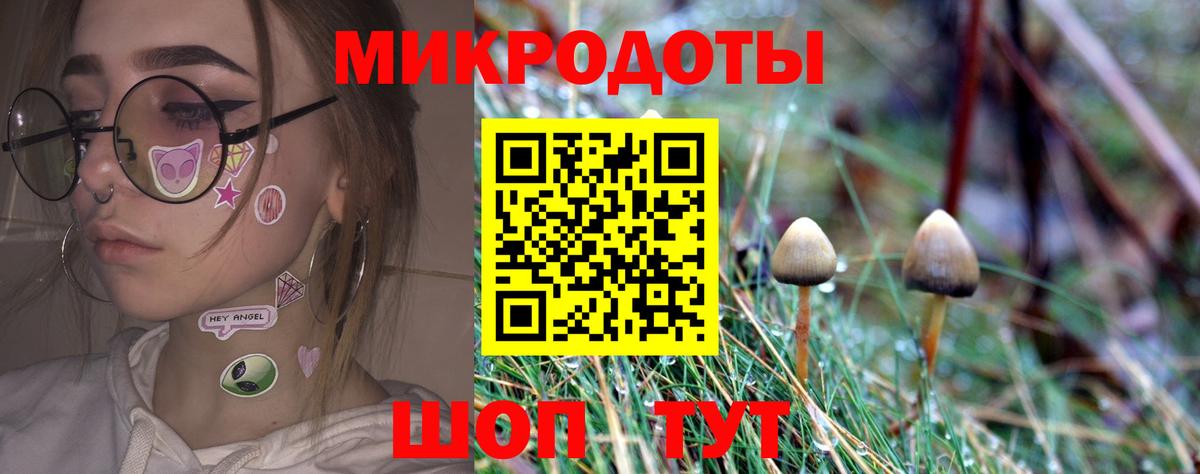 Галлюциногенные грибы мухоморы Черногорск