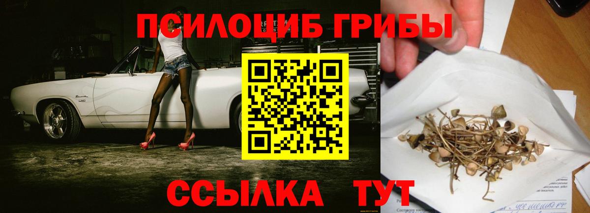 Галлюциногенные грибы Magic Shrooms  Вход с VPN  Черногорск 