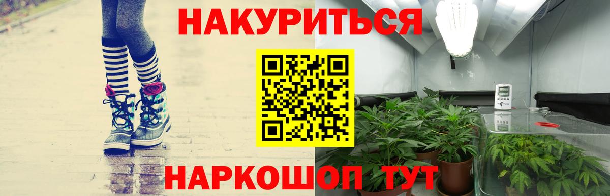 Черногорск  Марихуана конопля  Вход с VPN  Марихуана семена  Бошки Шишки Amnesia 